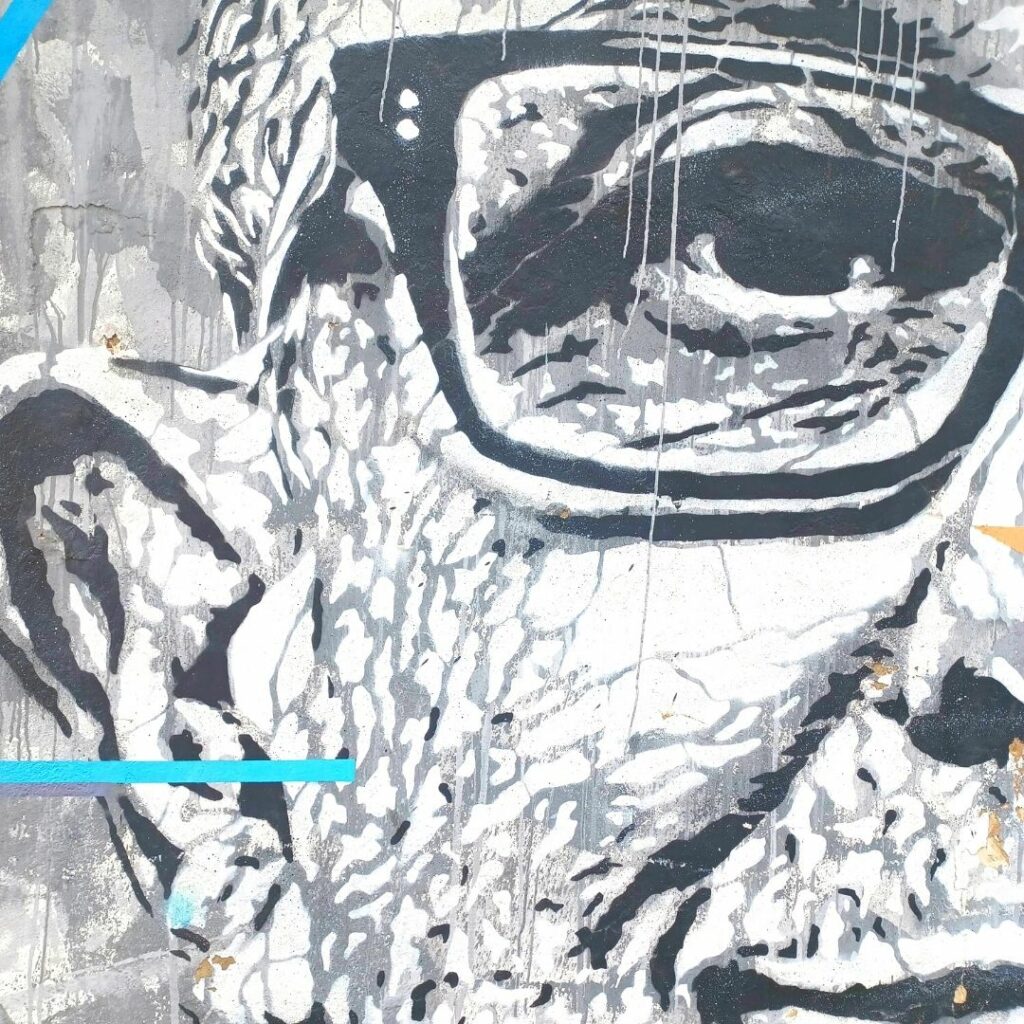 Street Art Lagos Close Up